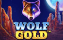wolf gold